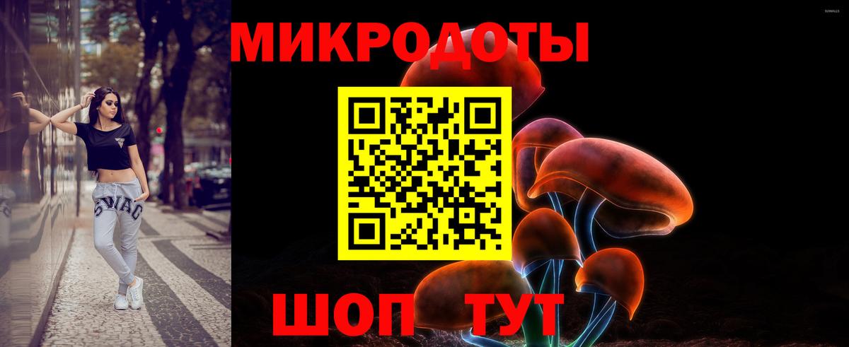 Псилоцибиновые грибы Psilocybine cubensis Магнитогорск